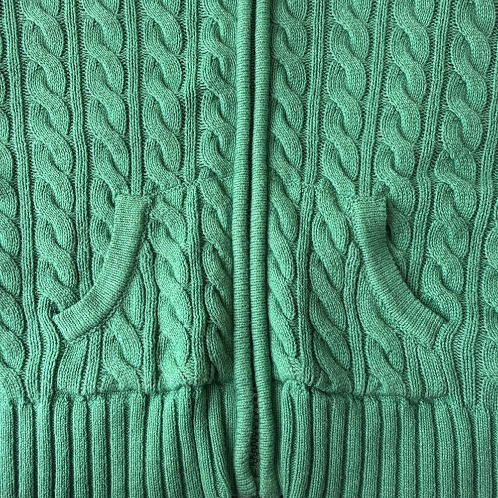 American Eagle Outfitters Green Hooded Sweater - Picture 4 of 4